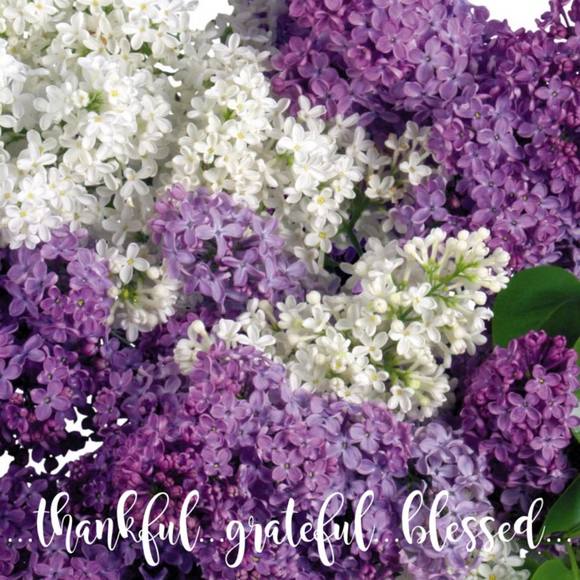 Meet your Posher, Andrea - Picture 1 of 1